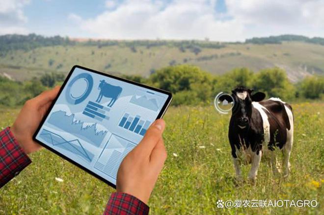 揭开牛场养殖的潜力：智能牛项圈发情监测的奥秘(图7)