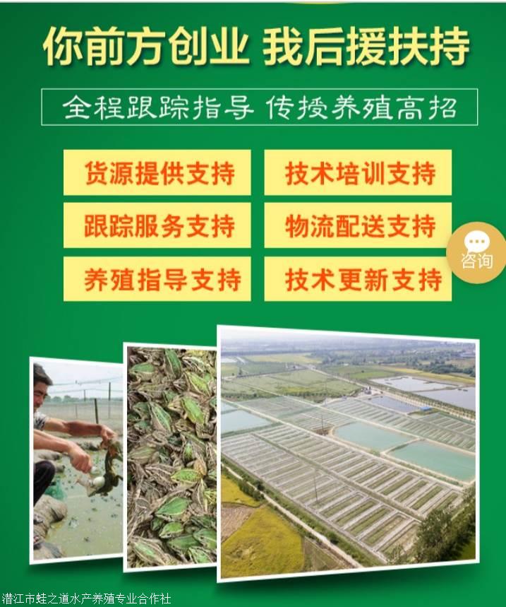 浮山县畜牧中心“双服务”团队宣传养殖知识(图1)