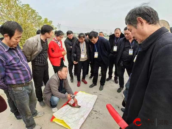 西平县农业农村局举办2023年高素质农民专业生产型（淡水养殖）技术培训班(图3)