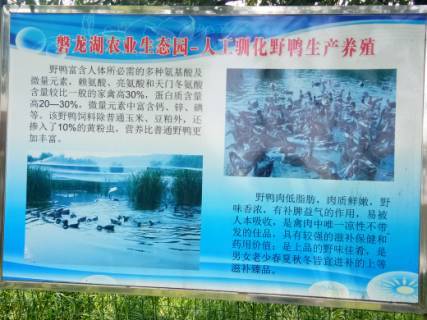 袁州区举办水产养殖技术培训班(图1)