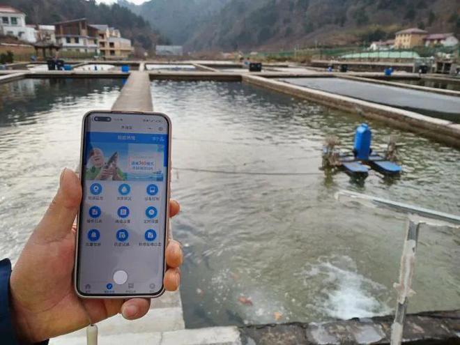 用一部手机就能养鱼致富！陕西这片园区火了(图1)